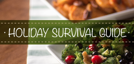 Stirlist Holiday Survival Guide & Exclusive Recipes!