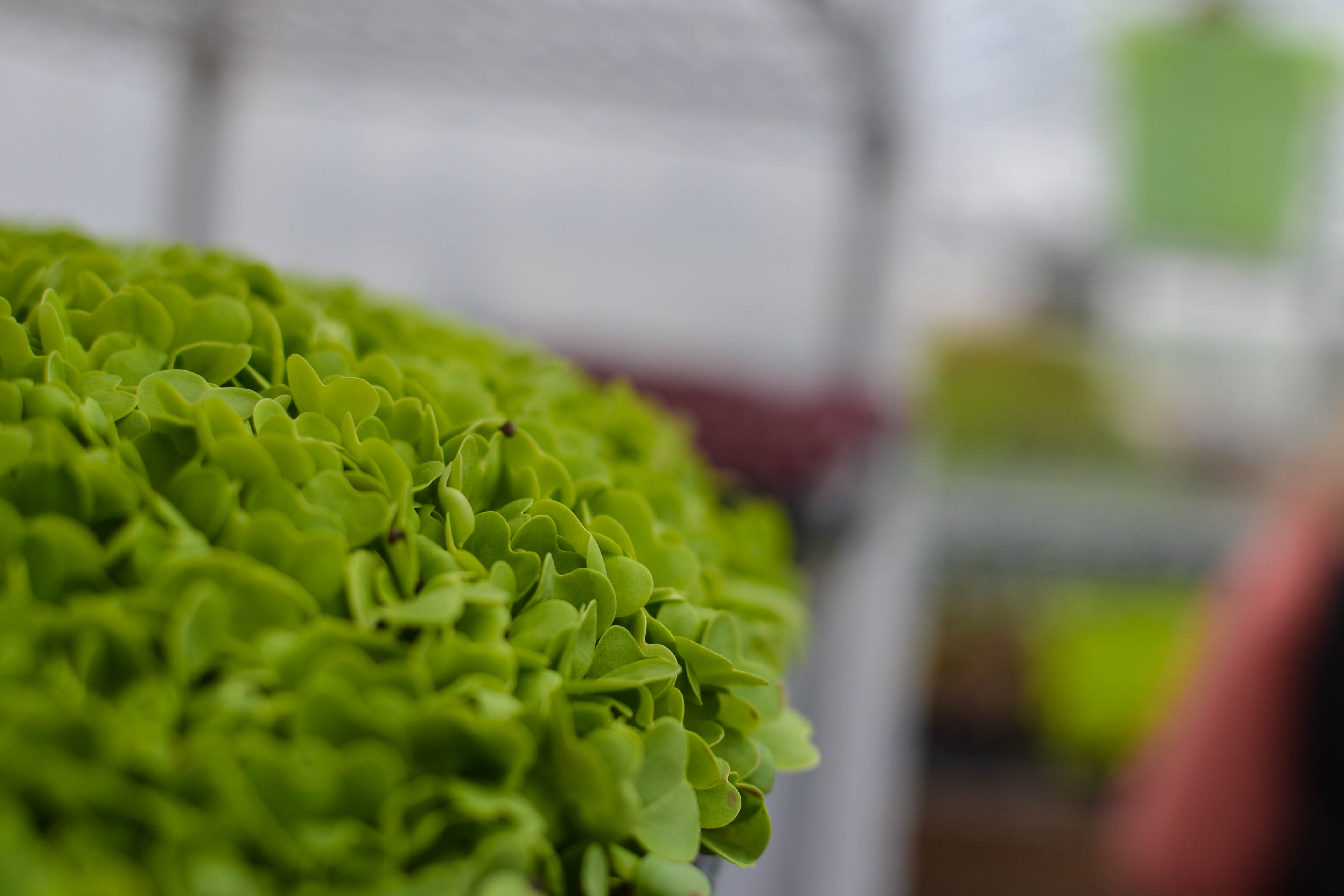 Startups that are changing the nature of farming